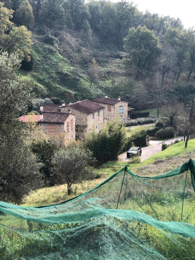 Il Borghetto Andrea Tafi Landhaus Lamporecchio
