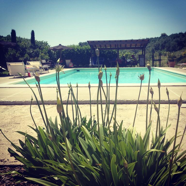 Il Borghetto Andrea Tafi Landhaus