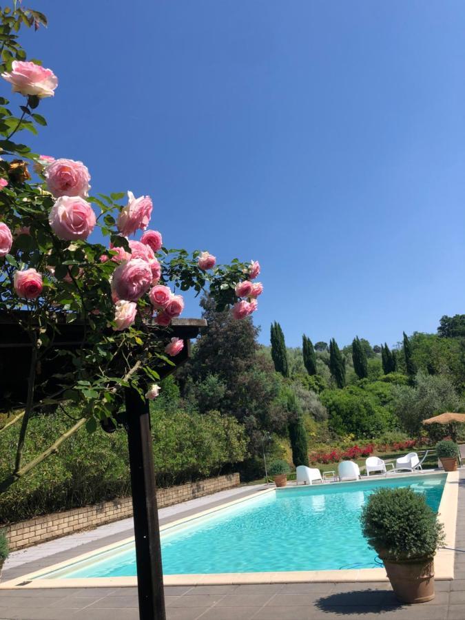 Il Borghetto Andrea Tafi Landhaus *