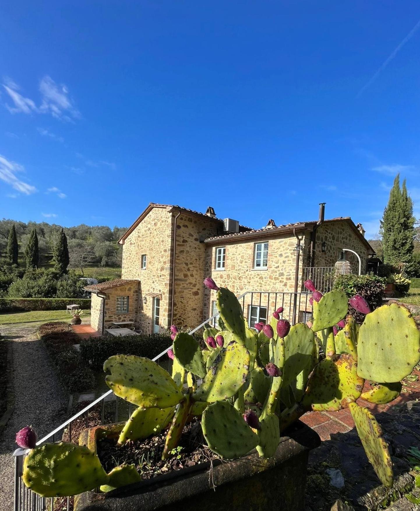 Il Borghetto Andrea Tafi Landhaus *