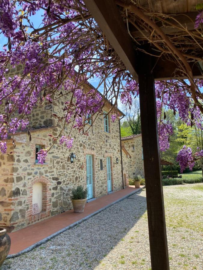 Il Borghetto Andrea Tafi *