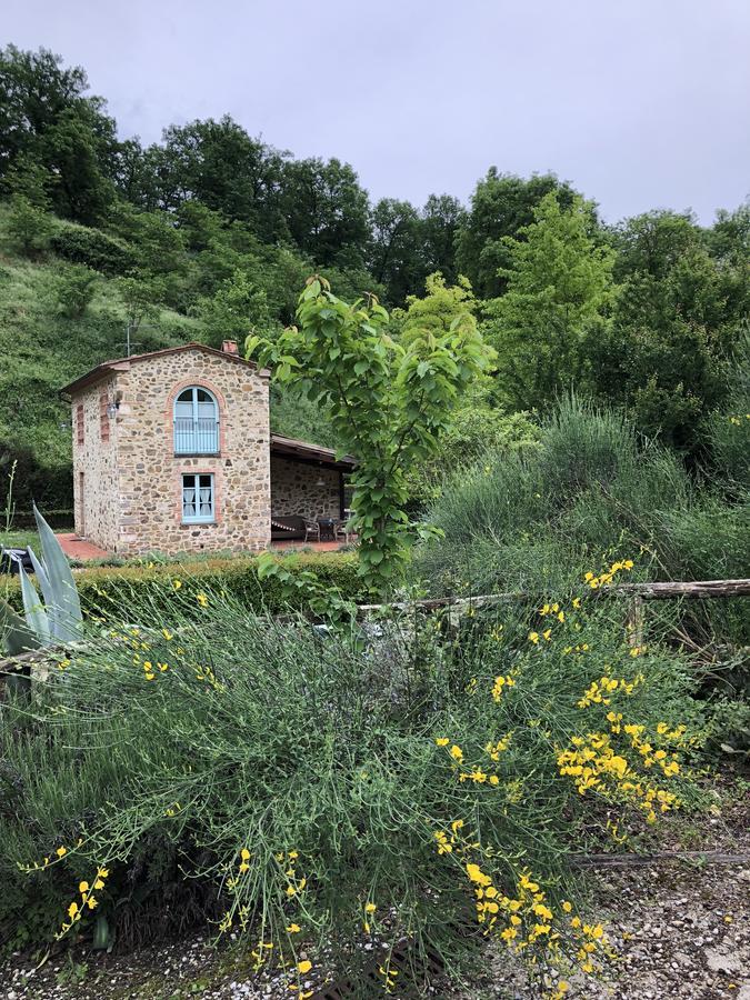 Il Borghetto Andrea Tafi *